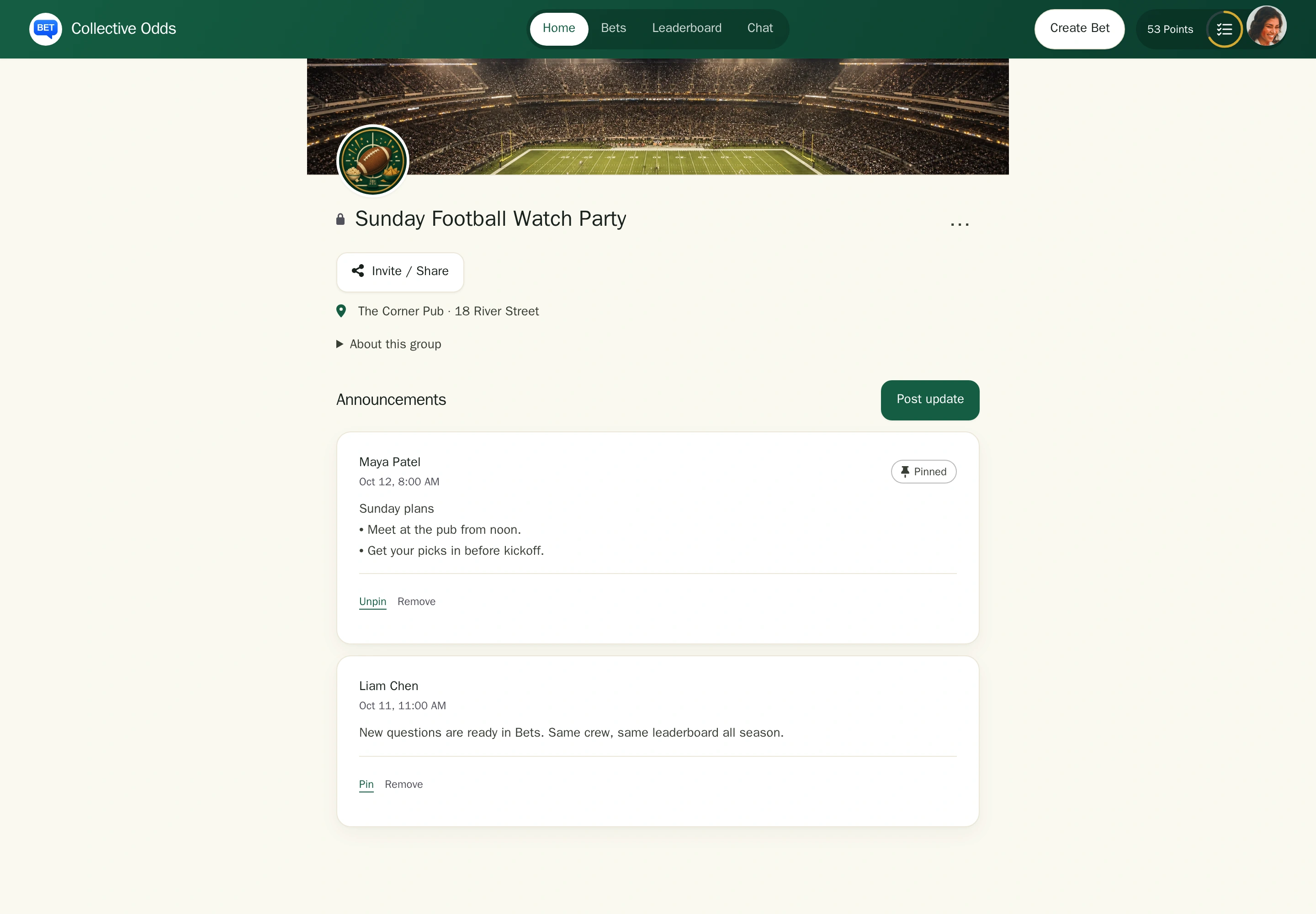 Collective Odds desktop Home with fictional group details and pinned announcements